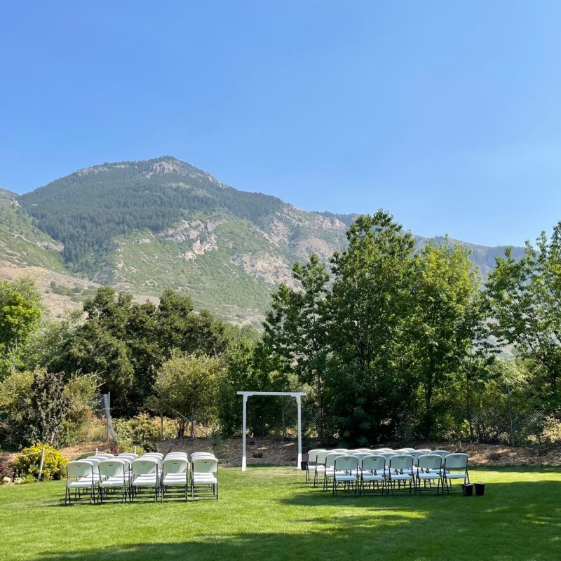 a tree with a mountain in the background
