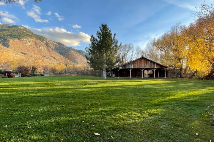 a large green field with trees in the background