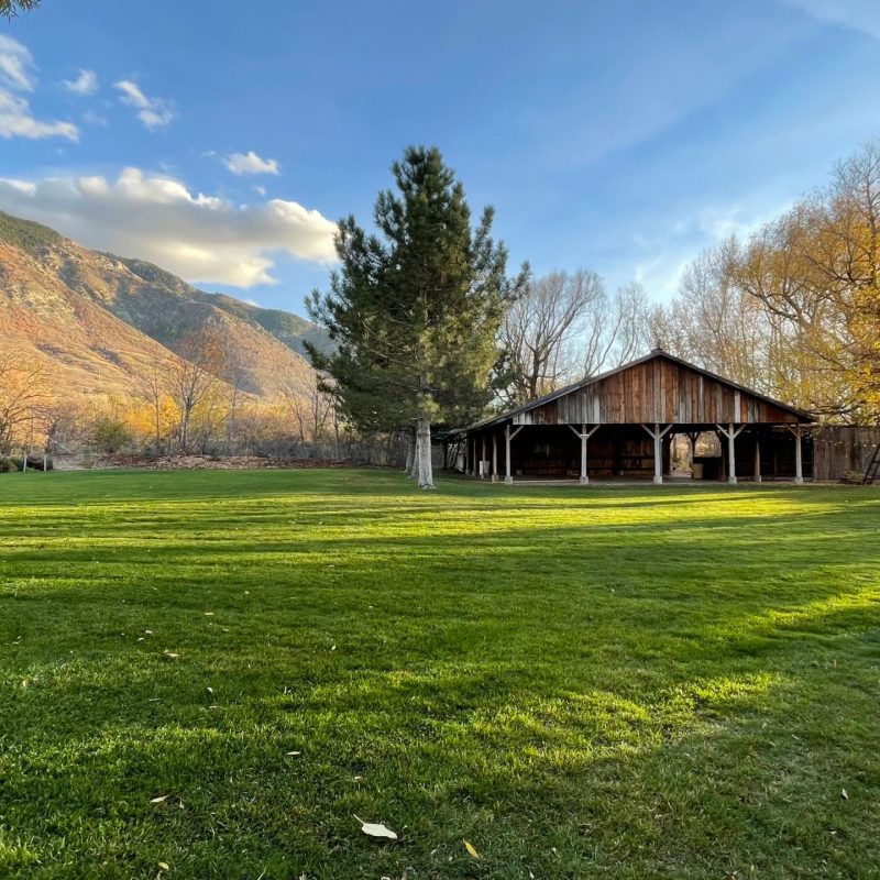 a large green field with trees in the background