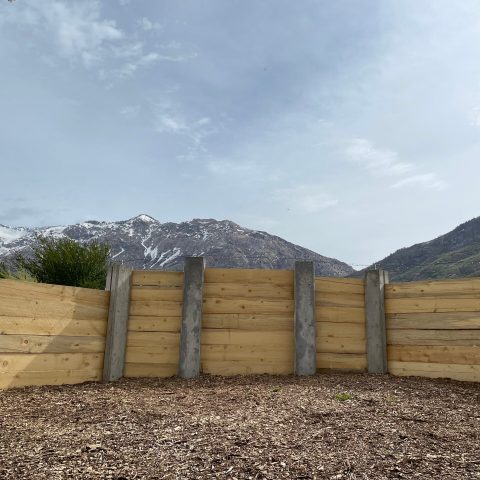 a group of sheep in a dirt field