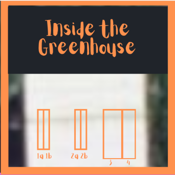 graphical user interface