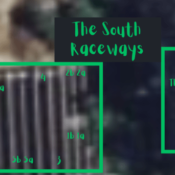 graphical user interface, website