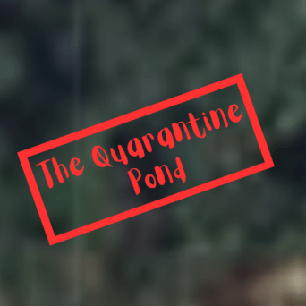 graphical user interface, text, website