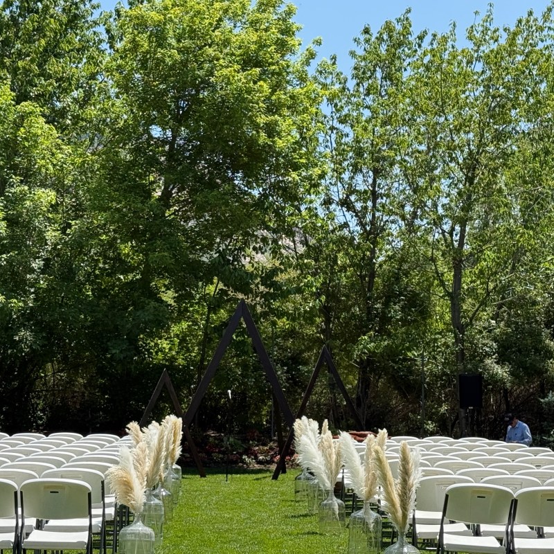 Outdoor wedding setup with chairs and pampas grass, surrounded by trees.