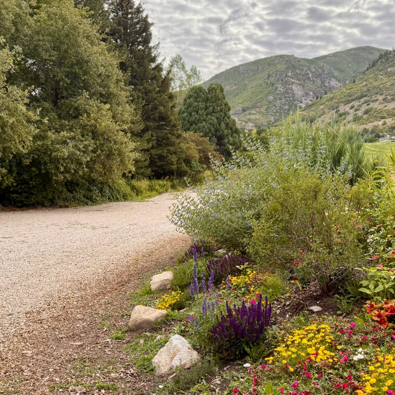 Dirt path lined with colorful flowers and trees, leading towards hills under a cloudy sky.